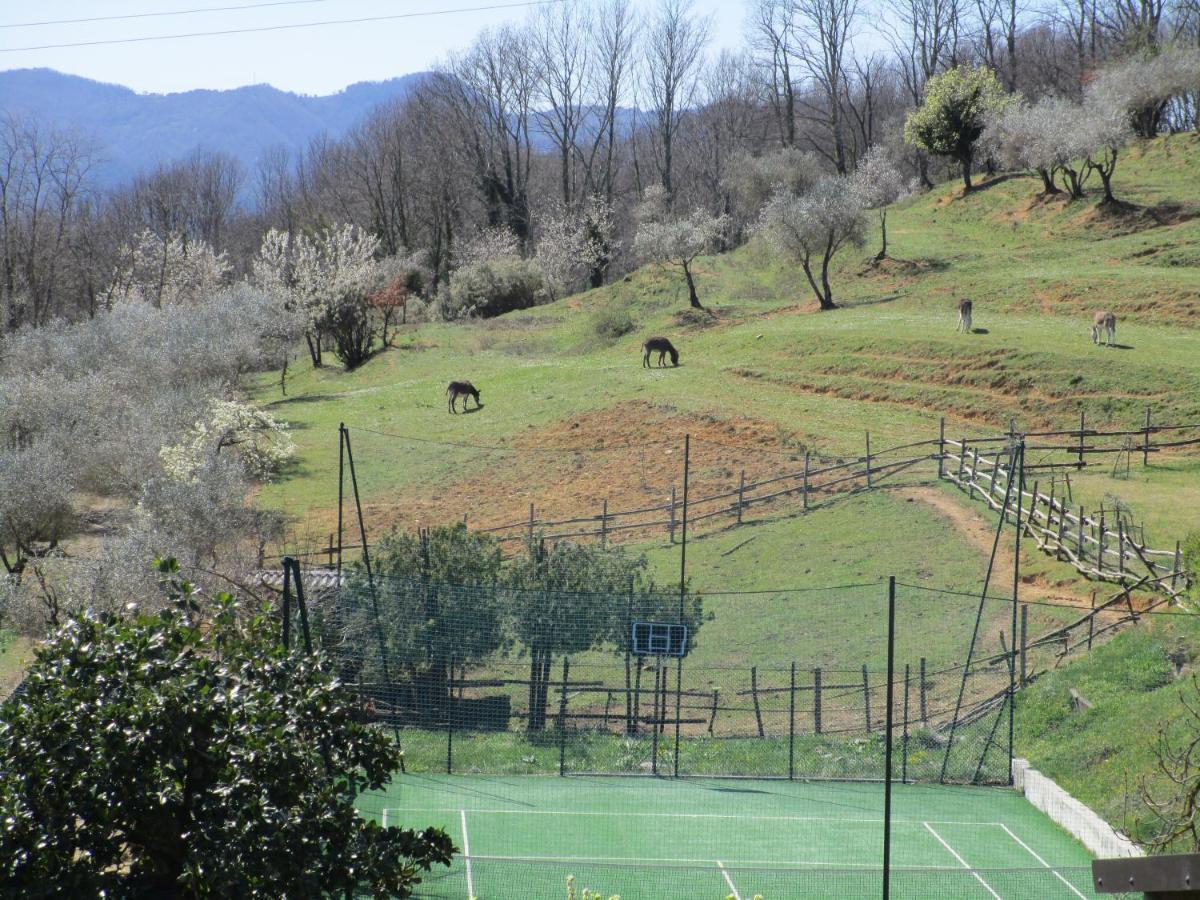 Podere La Piana Fivizzano Eksteriør billede